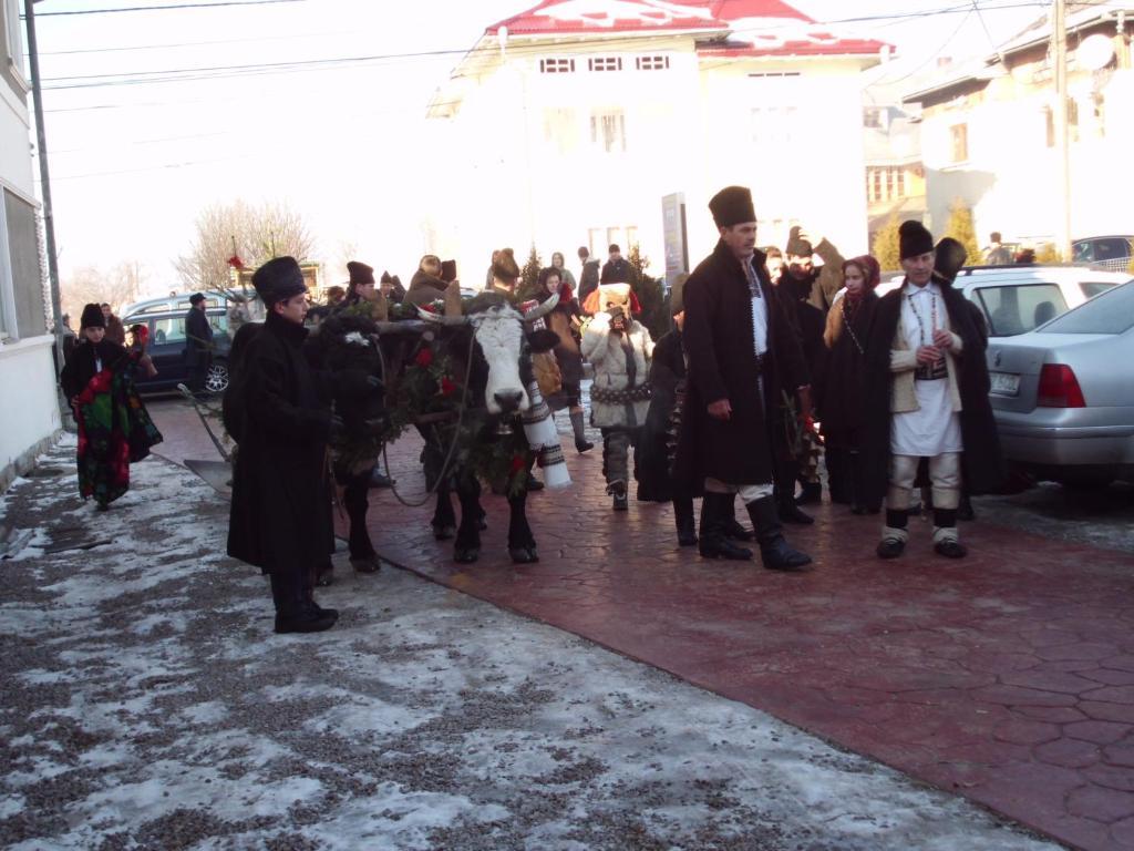 Pensiunea Alexandra Vatra Moldoviţei Rum bild